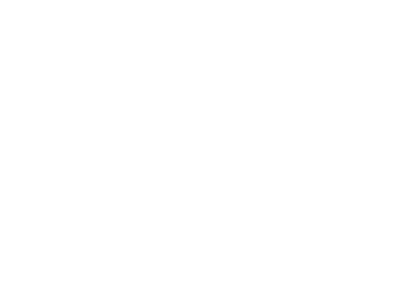 adidas Trefoil
